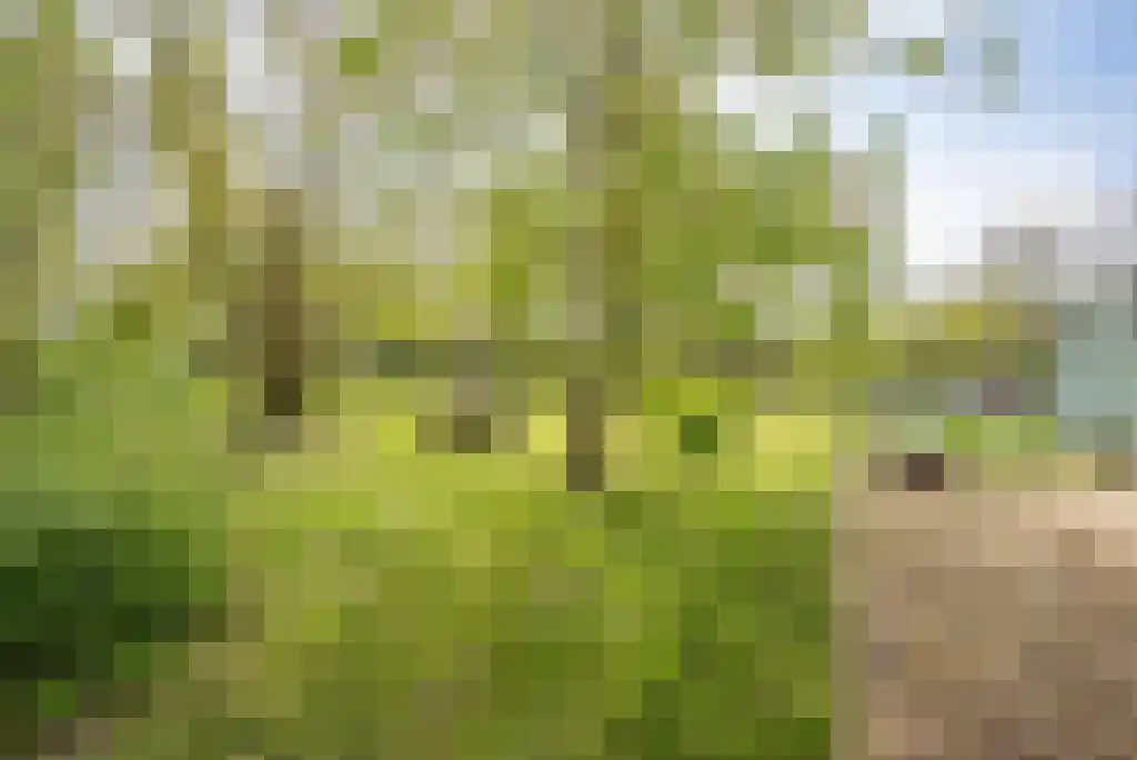 Nes 24 Schagen thumbnail 62