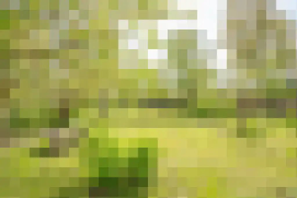 Nes 24 Schagen thumbnail 63