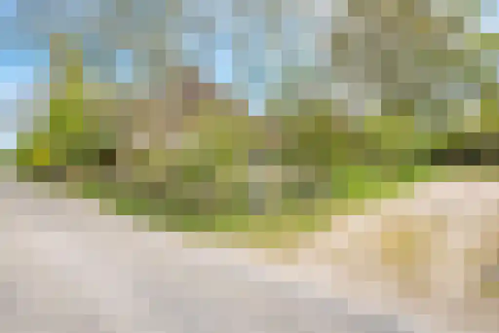 Nes 24 Schagen thumbnail 68