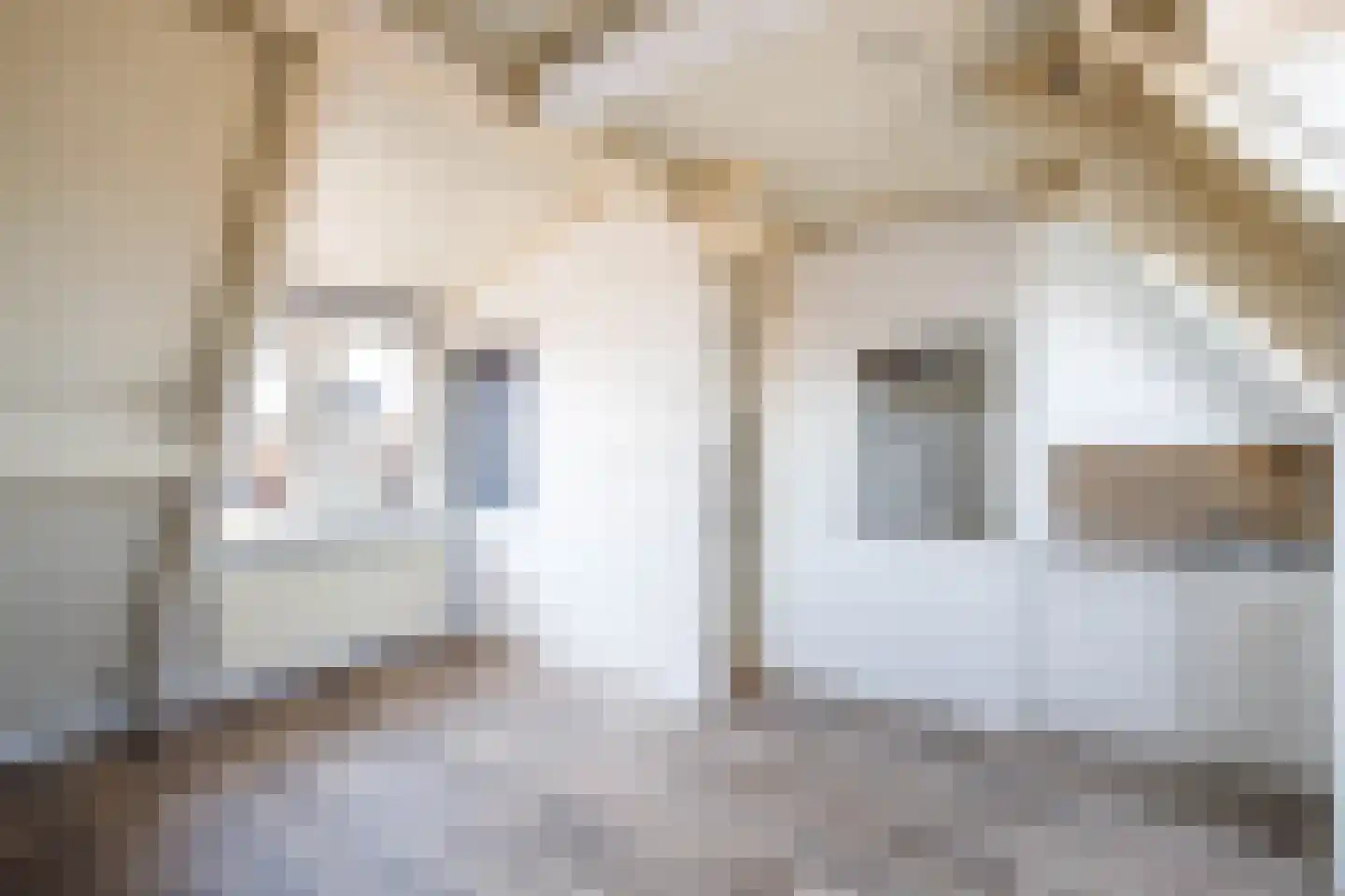 Nes 4 Schoonhoven thumbnail 24