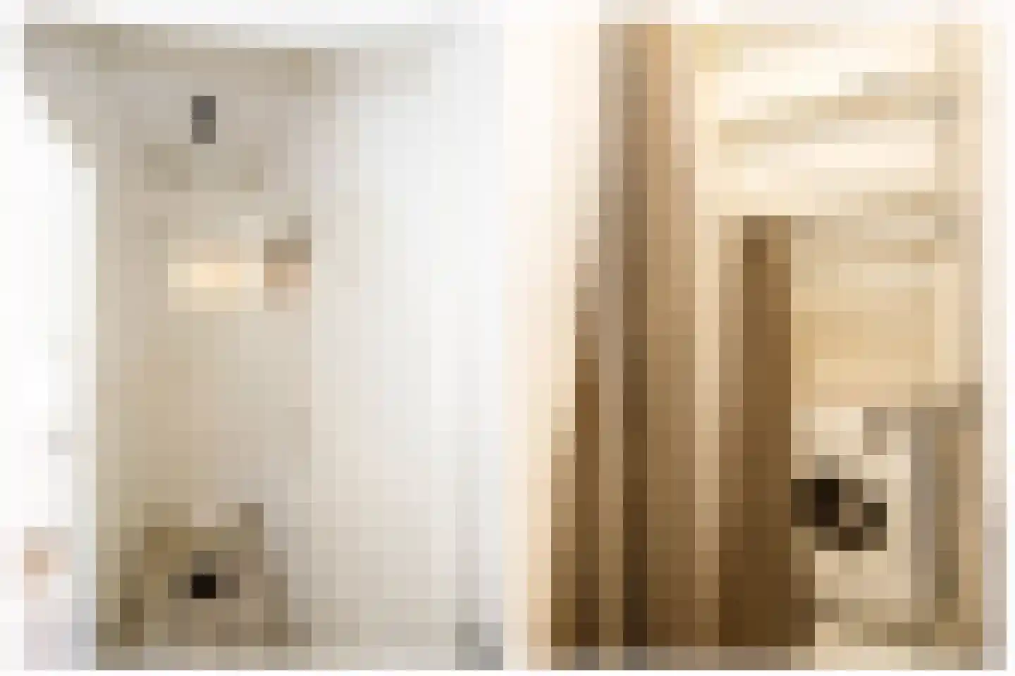Nes 4 Schoonhoven thumbnail 8