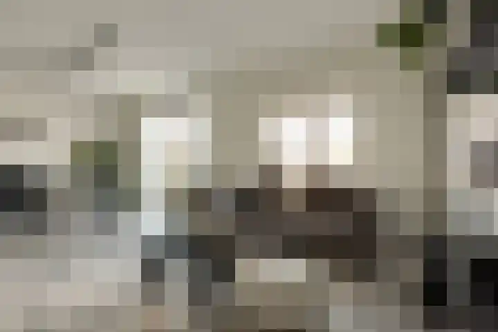 Nes 40 Pijnacker thumbnail 14