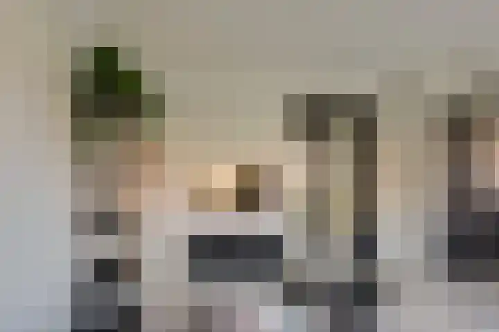 Nes 40 Pijnacker thumbnail 16