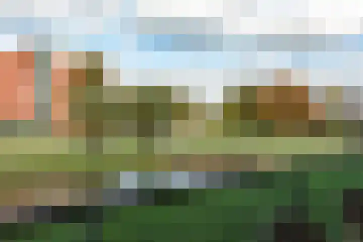 Nes 40 Pijnacker thumbnail 24