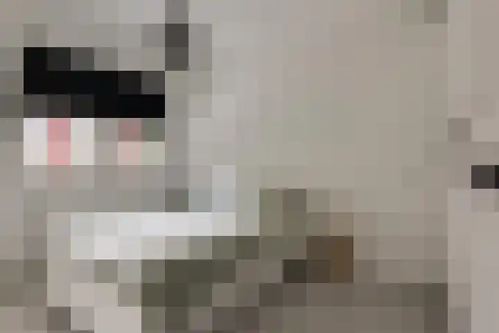 Nes 40 Pijnacker thumbnail 26