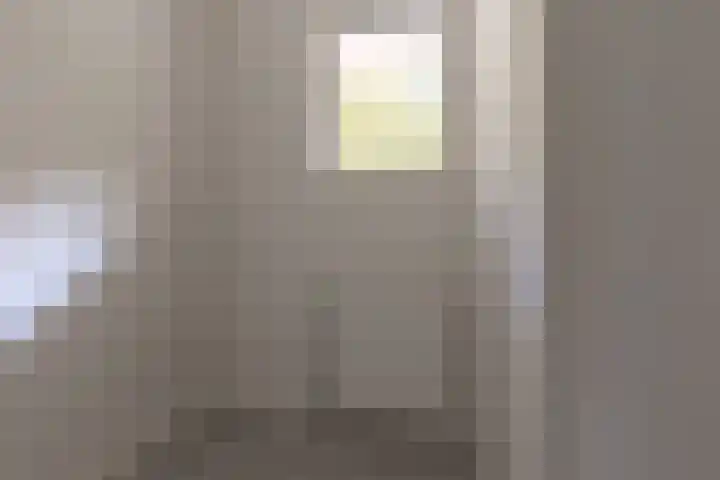 Nes 40 Pijnacker thumbnail 30