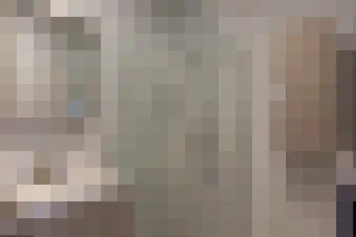 Nes 40 Pijnacker thumbnail 31