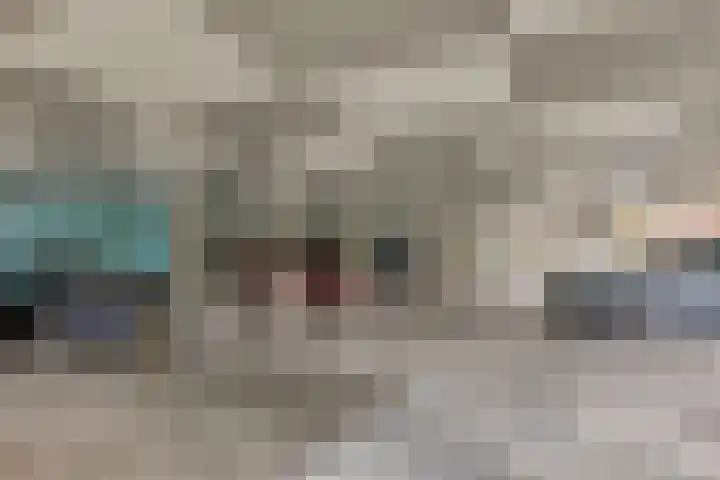 Nes 40 Pijnacker thumbnail 36