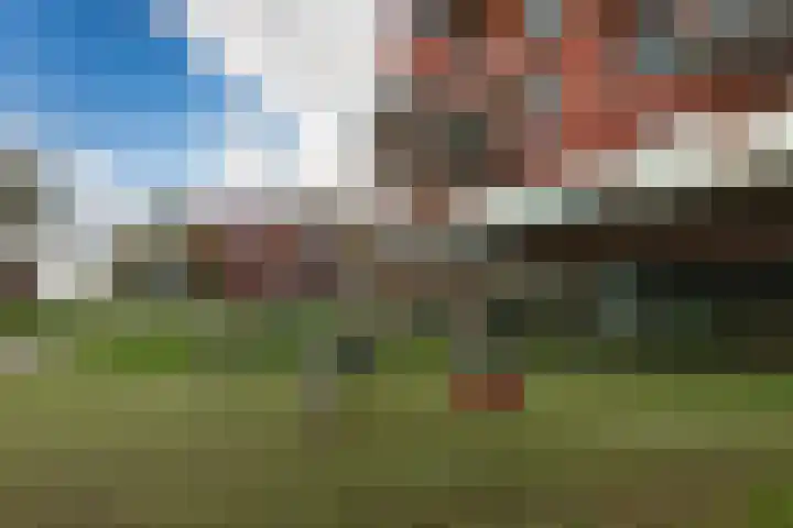 Nes 40 Pijnacker thumbnail 37