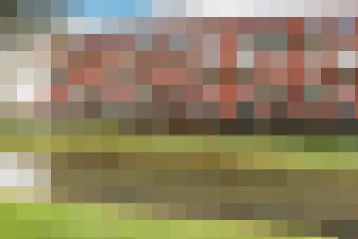 Nes 40 Pijnacker thumbnail 6