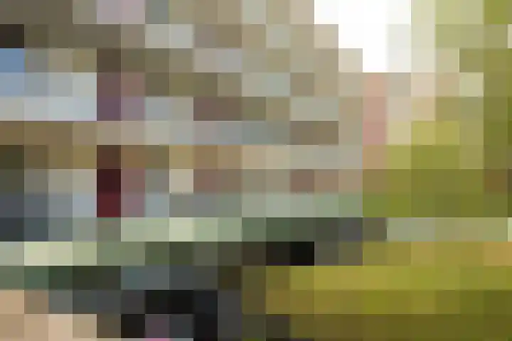 Nes 40 Pijnacker thumbnail 9