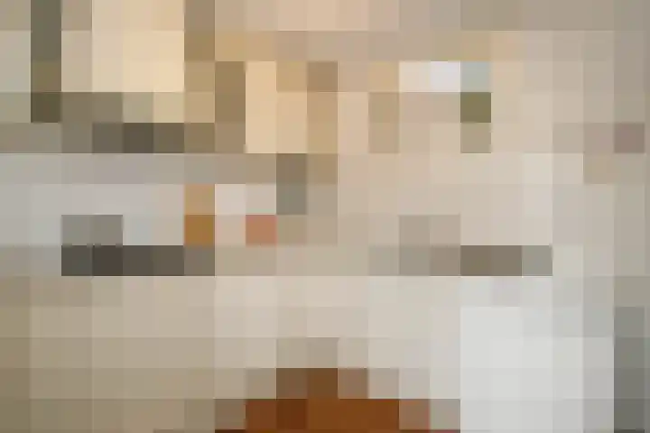 Nes 42 A Schoonhoven thumbnail 14
