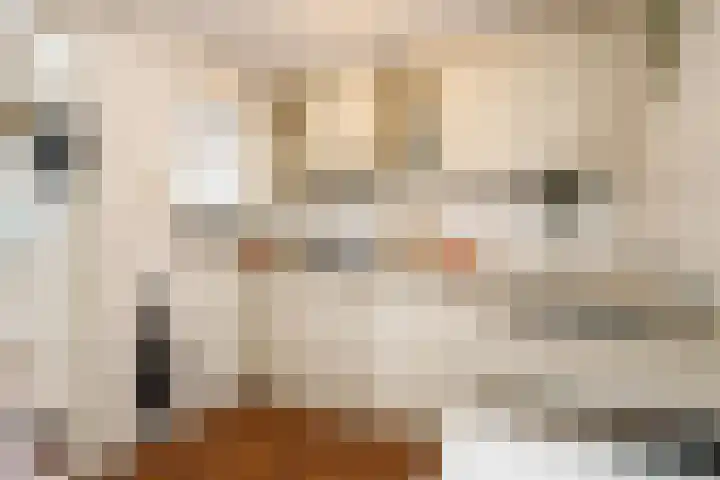 Nes 42 A Schoonhoven thumbnail 15