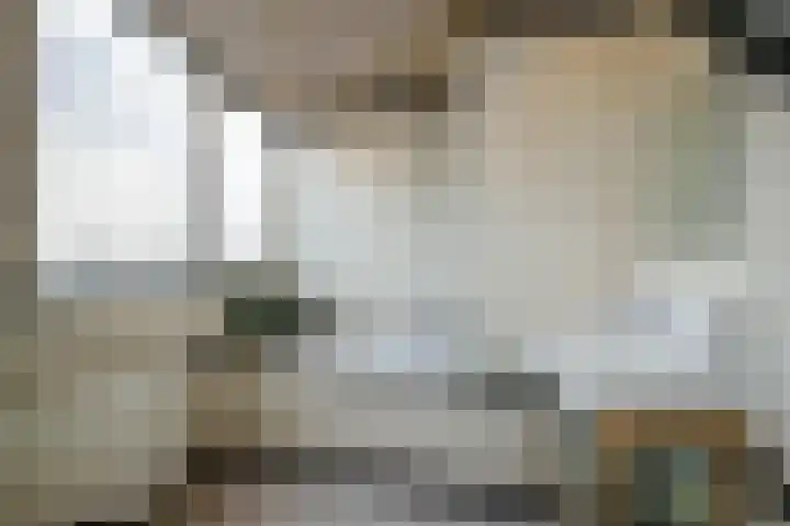 Nes 42 A Schoonhoven thumbnail 20