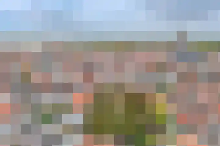 Nes 42 A Schoonhoven thumbnail 24