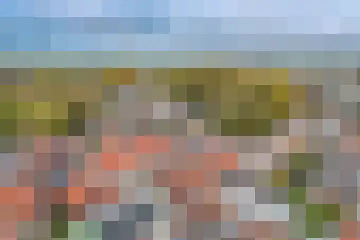 Nes 42 A Schoonhoven thumbnail 25