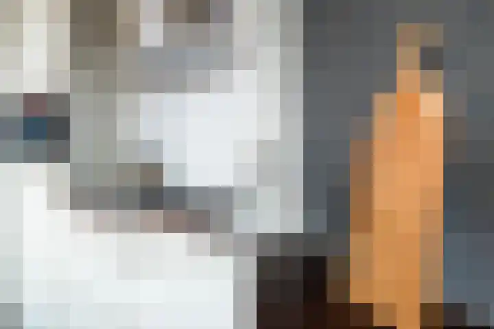 Nes 49 Pijnacker thumbnail 11