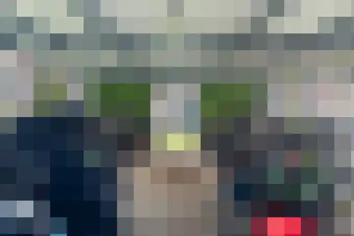 Nes 49 Pijnacker thumbnail 29