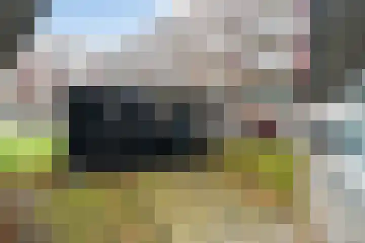 Nes 49 Pijnacker thumbnail 30