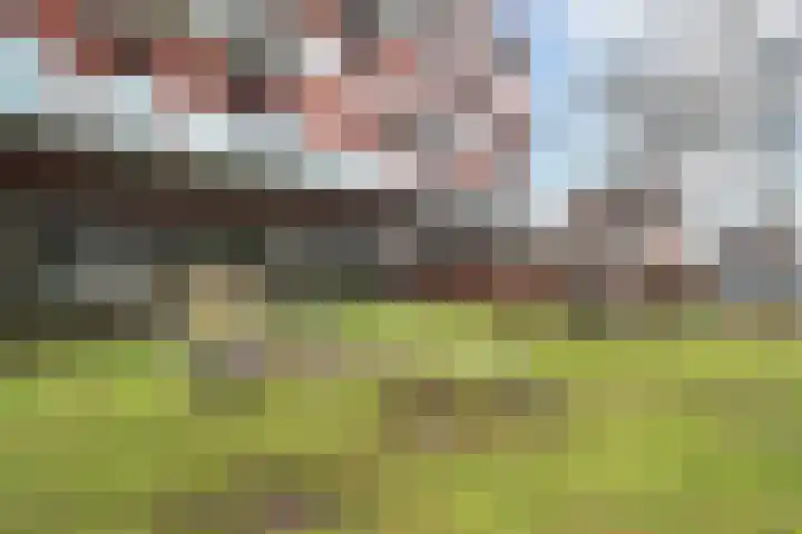 Nes 49 Pijnacker thumbnail 31