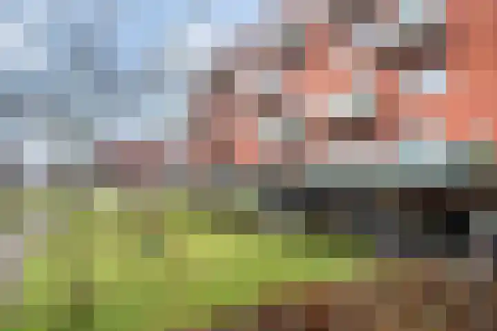 Nes 49 Pijnacker thumbnail 32