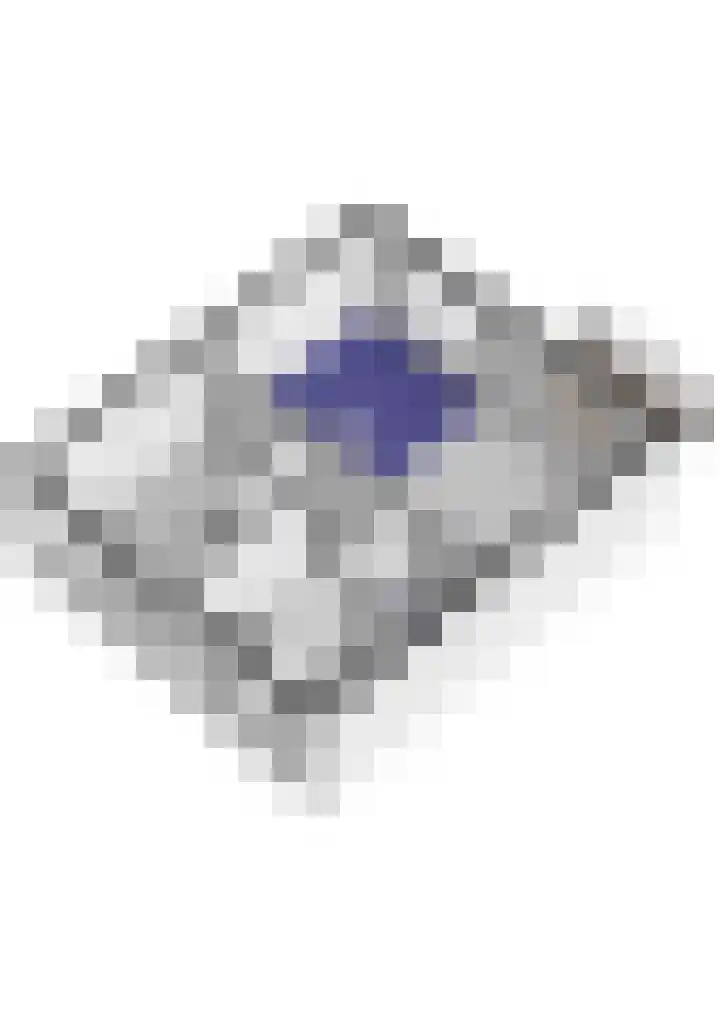 Nes 49 Pijnacker thumbnail 34