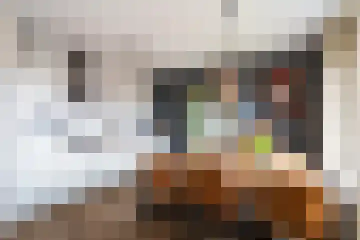 Nes 49 Pijnacker thumbnail 9