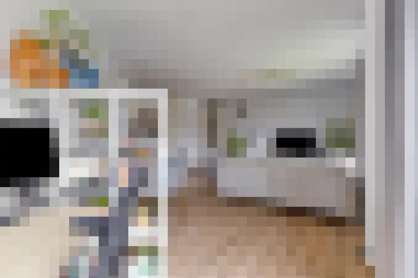 Nes 63 Pijnacker thumbnail 17