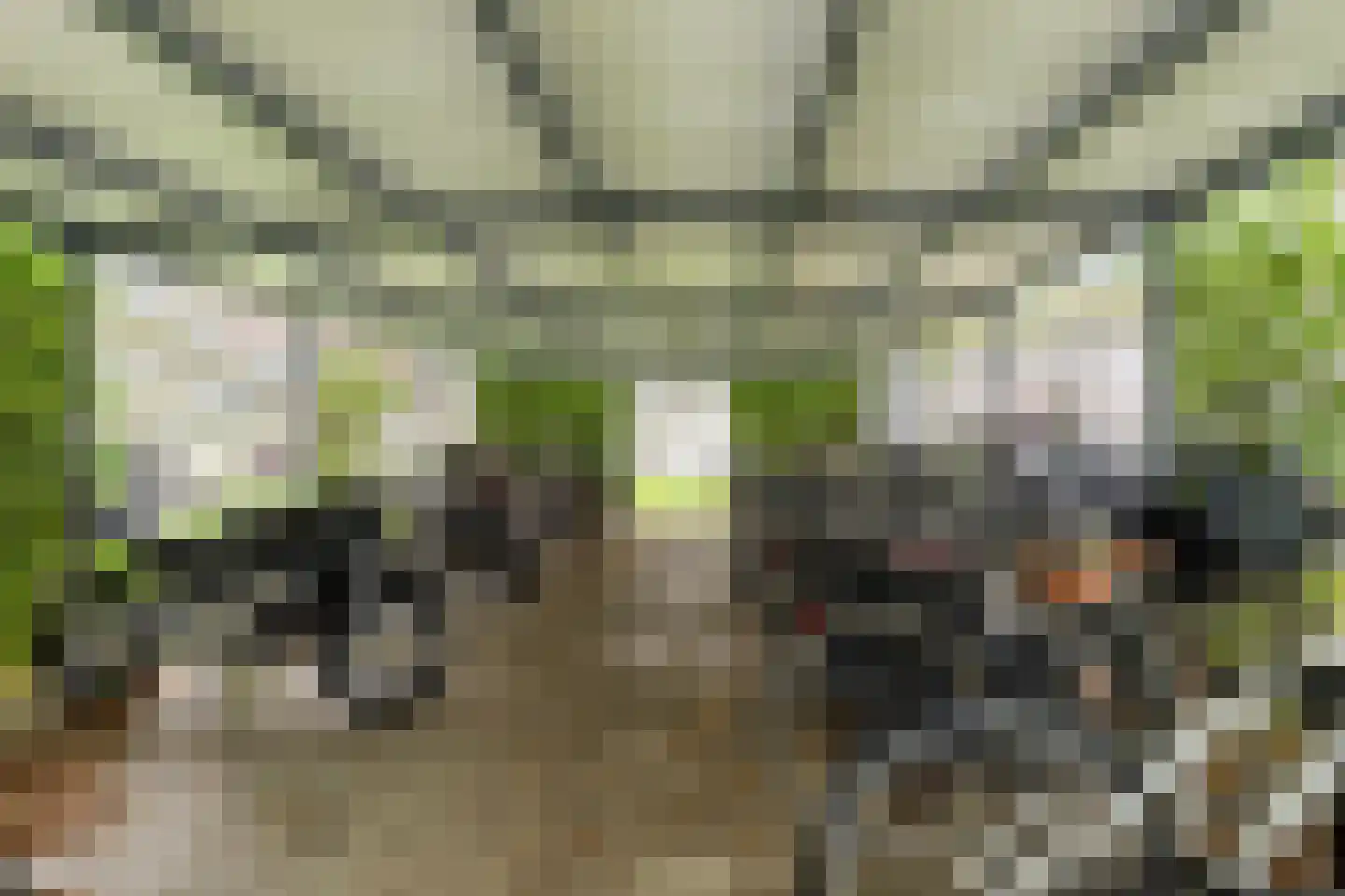 Nes 63 Pijnacker thumbnail 25