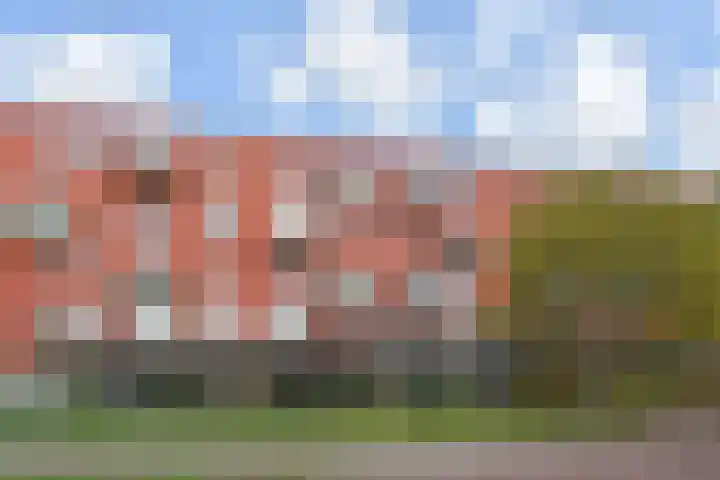 Nes 67 dans Pijnacker
