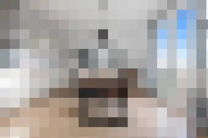 Nes 68 Pijnacker thumbnail 18