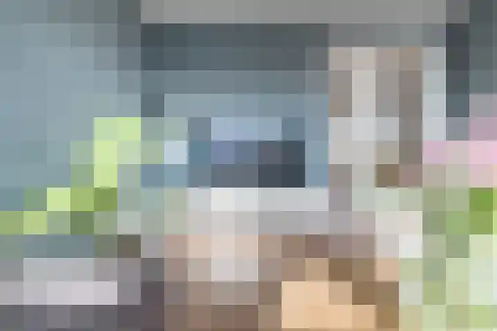 Nes 68 Pijnacker thumbnail 4