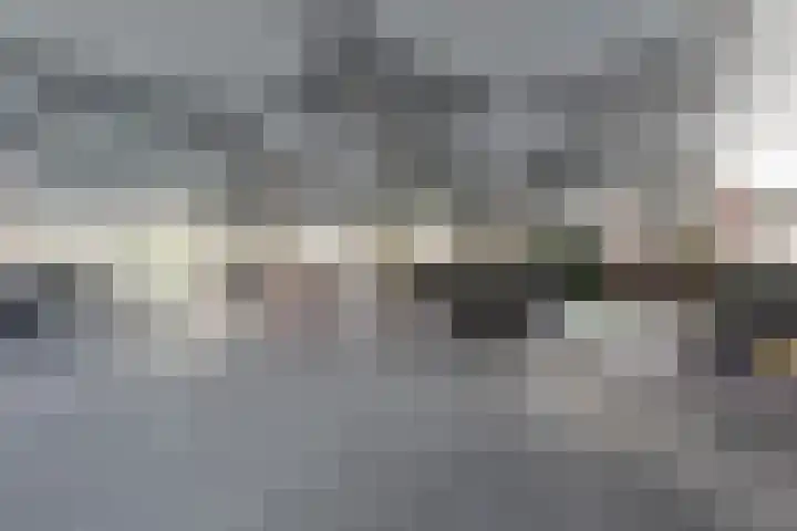 Nes 68 Pijnacker thumbnail 42