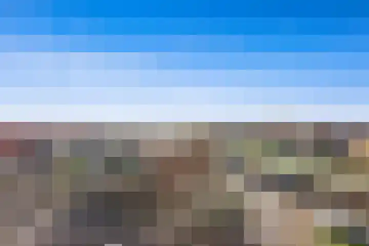 Nes 68 Pijnacker thumbnail 47