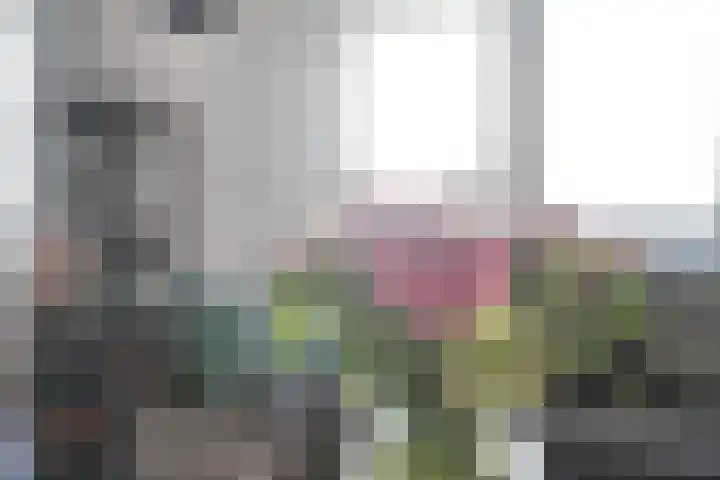 Nes 68 Pijnacker thumbnail 5