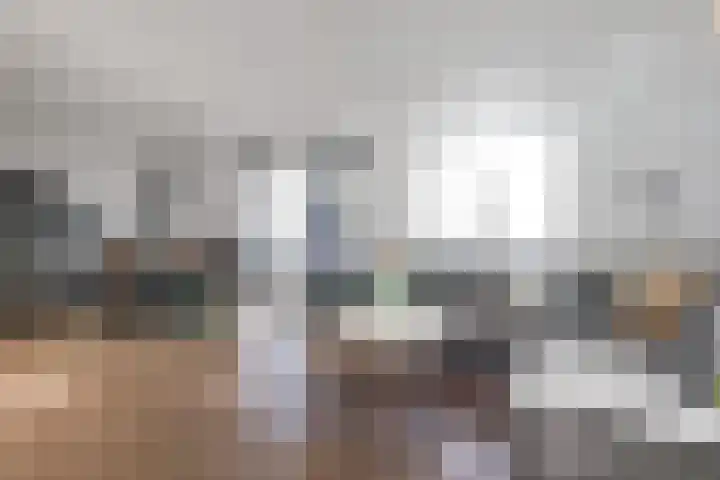 Nes 68 Pijnacker thumbnail 8