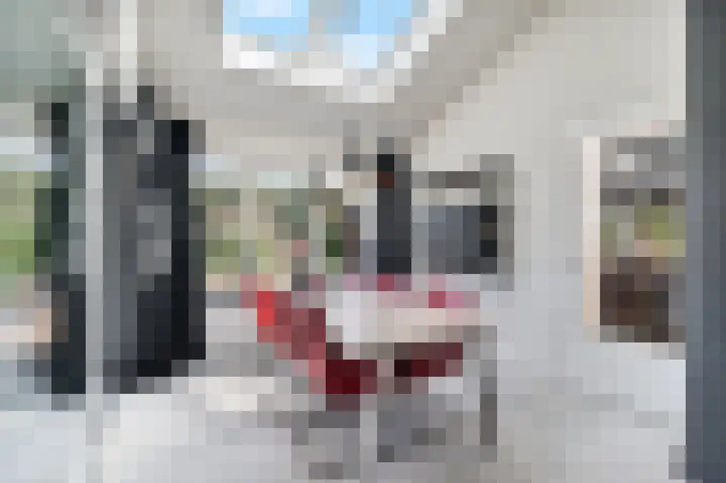 Nes 7 E Schagen thumbnail 11