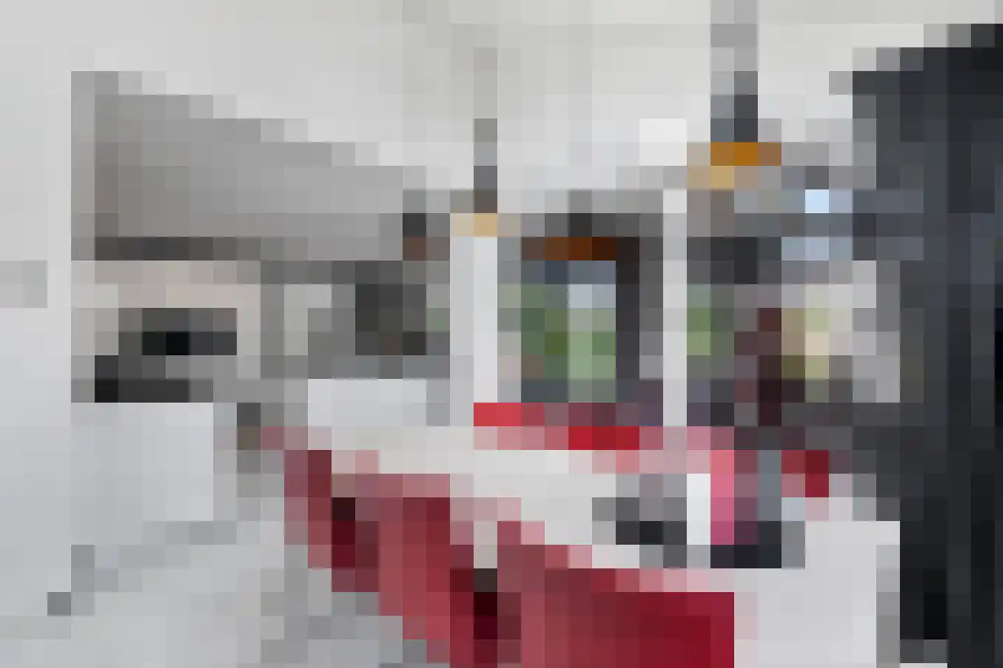 Nes 7 E Schagen thumbnail 13