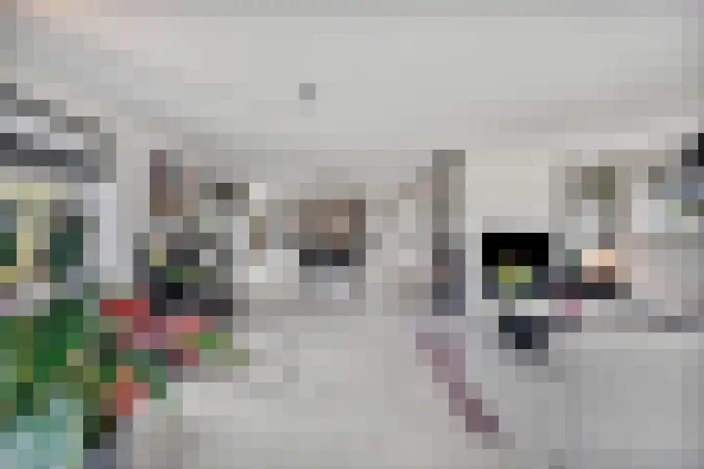 Nes 7 E Schagen thumbnail 17