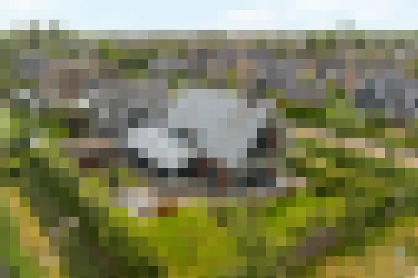 Nes 7 E Schagen foto 2