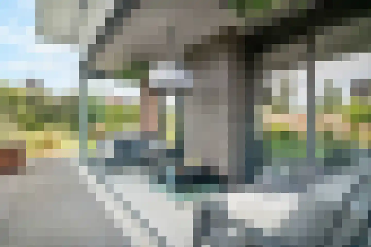 Nes 7 E Schagen thumbnail 22