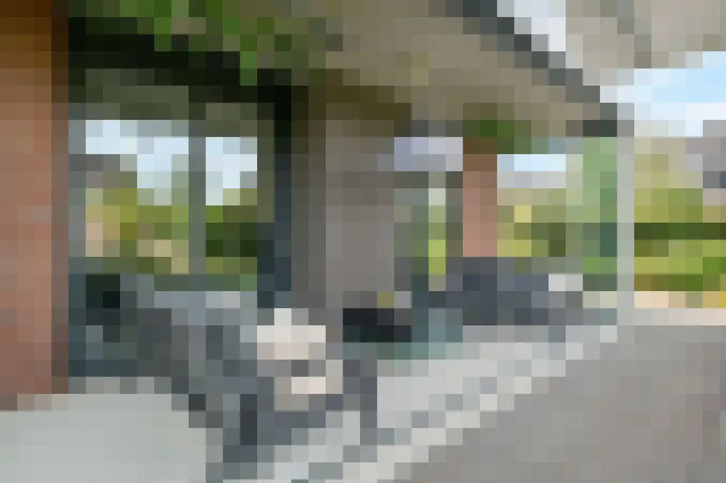 Nes 7 E Schagen thumbnail 24