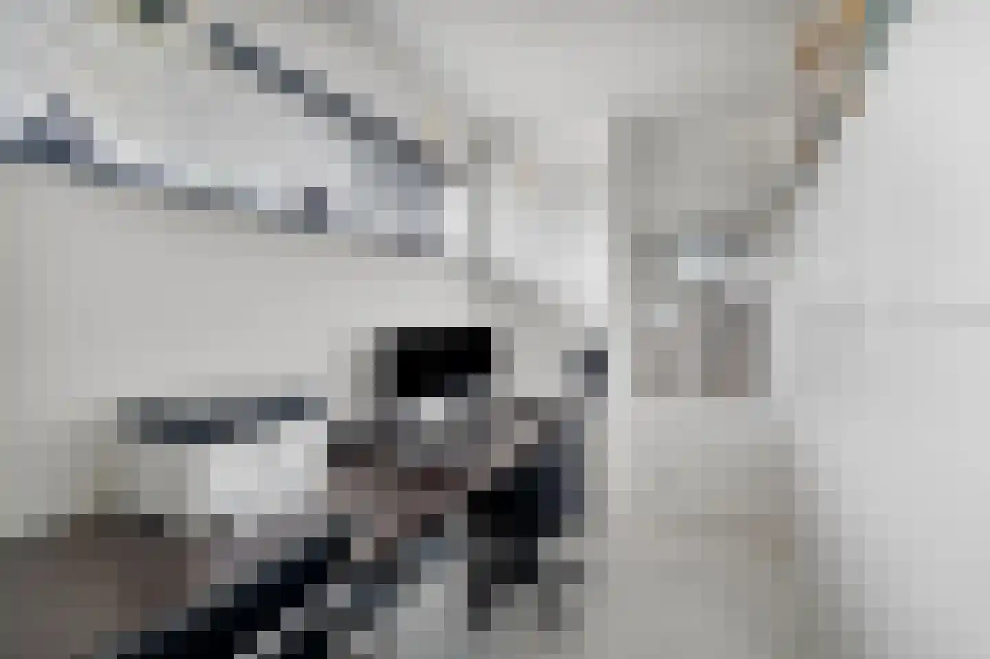 Nes 7 E Schagen thumbnail 41
