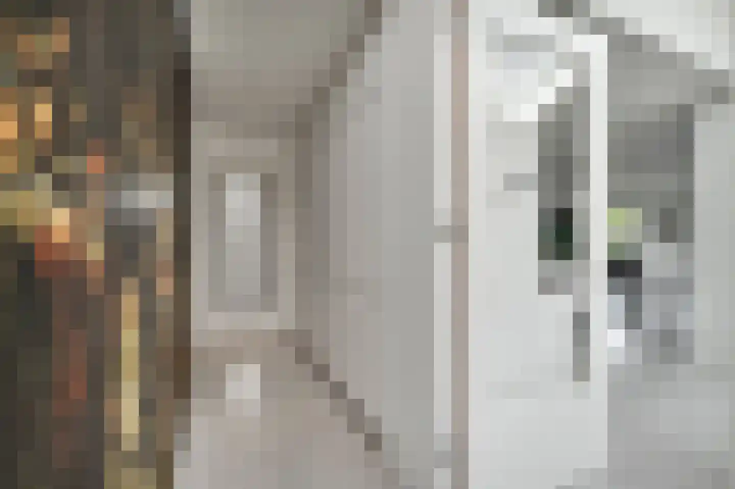 Nes 7 E Schagen thumbnail 43