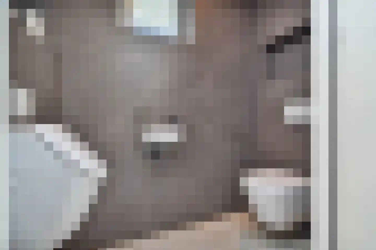 Nes 7 E Schagen thumbnail 45