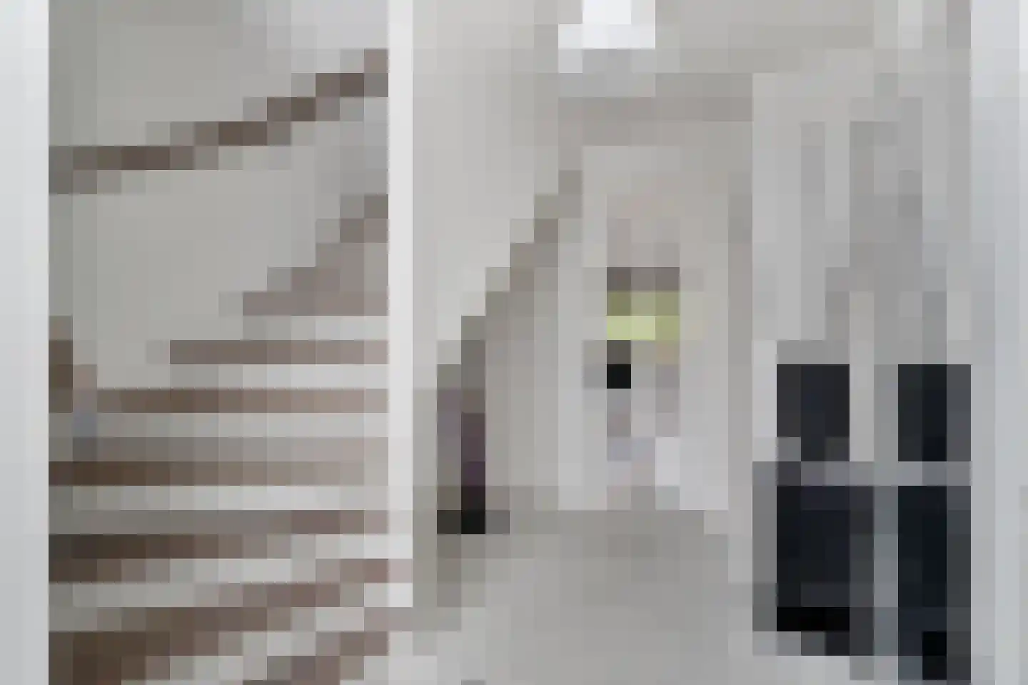 Nes 7 E Schagen thumbnail 48