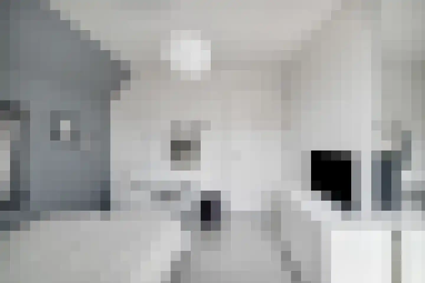 Nes 7 E Schagen thumbnail 52