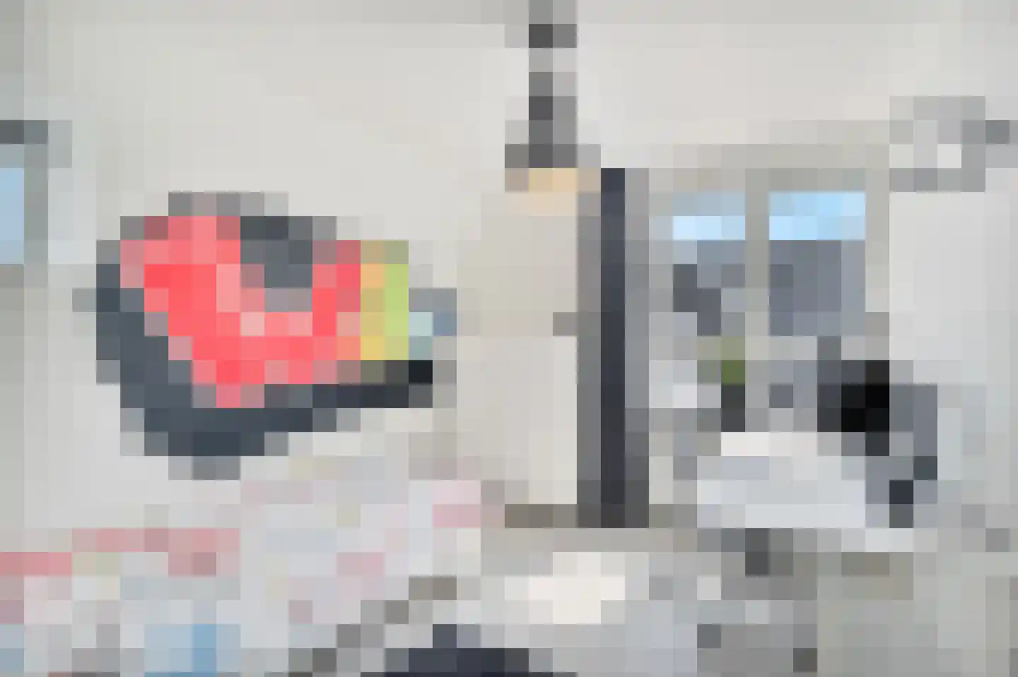Nes 7 E Schagen thumbnail 53