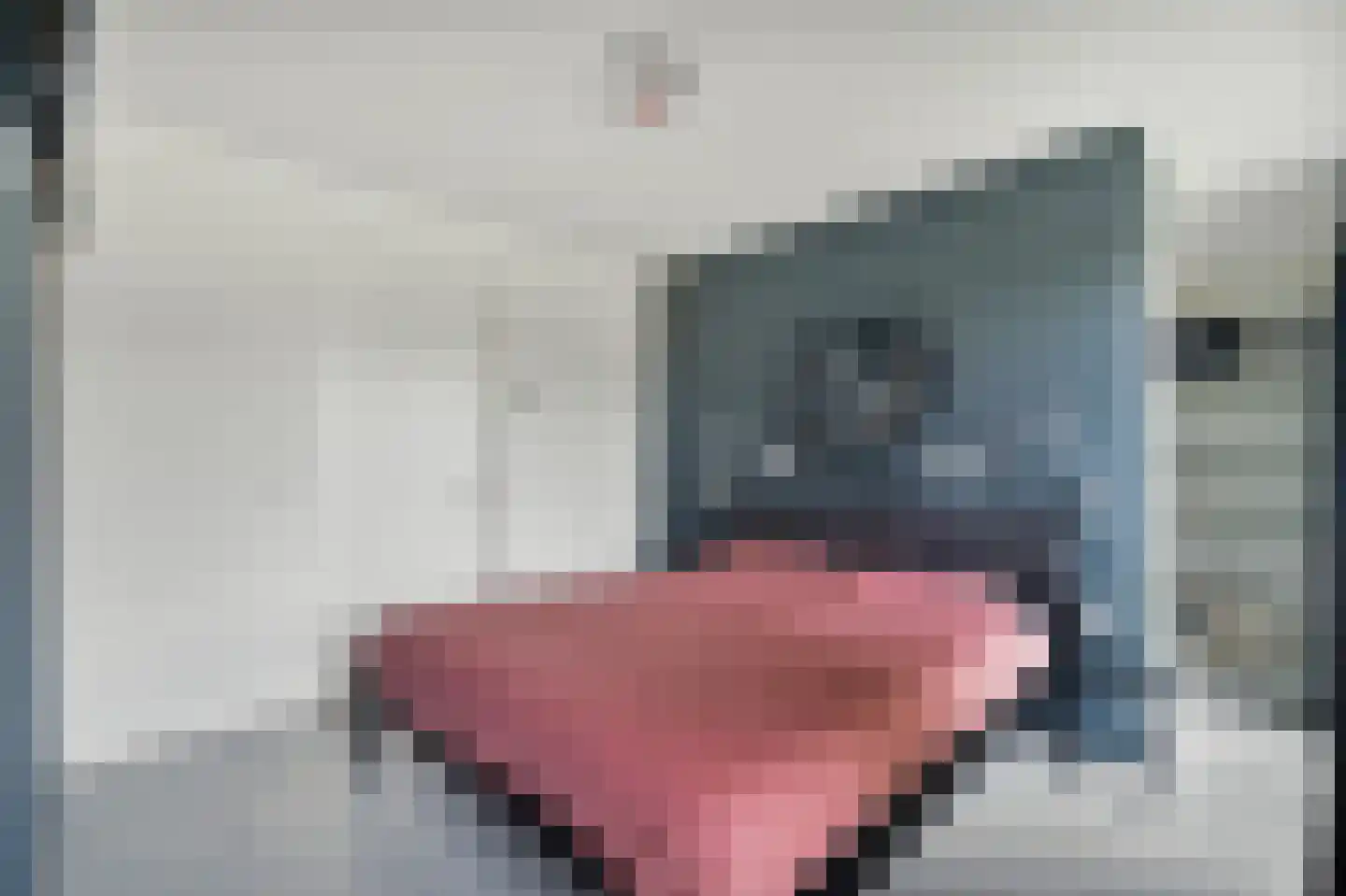 Nes 7 E Schagen thumbnail 56