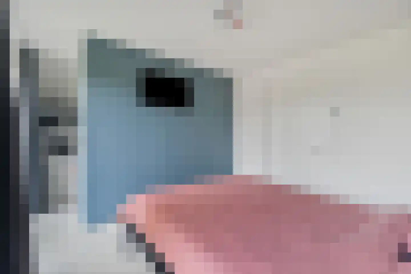 Nes 7 E Schagen thumbnail 57